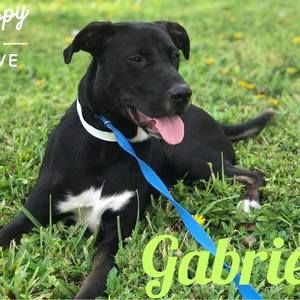 Meet your Posher, Michaela